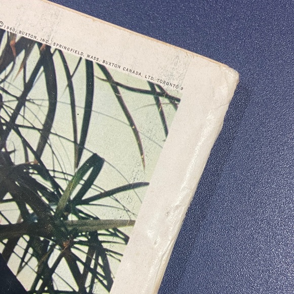 Seventeen Magazine
February 1960 - Picture 7 of 16